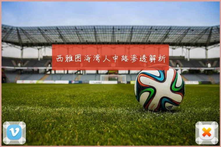 西雅图海湾人中路渗透解析 - 必赢全站app下载官网