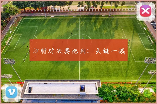 沙特对决奥地利：关键一战 - 必赢全站app下载官网