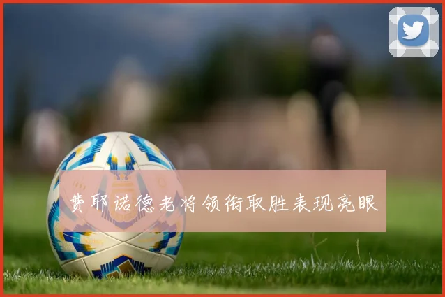 费耶诺德老将领衔取胜表现亮眼 - 必赢全站app下载官网