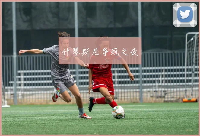 什琴斯尼争冠之夜 - 必赢全站app下载官网