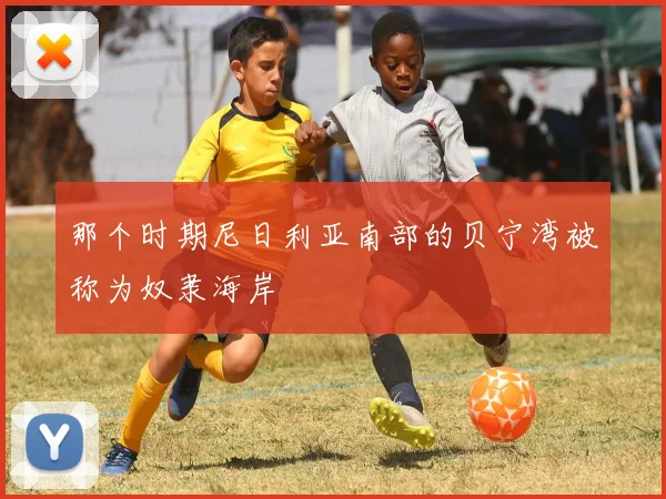 那个时期尼日利亚南部的贝宁湾被称为奴隶海岸 - 必赢全站app下载官网