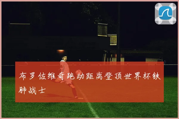 布罗佐维奇跑动距离登顶世界杯铁肺战士 - 必赢全站app下载官网
