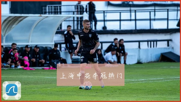 上海申花夺冠热门 - 必赢全站app下载官网