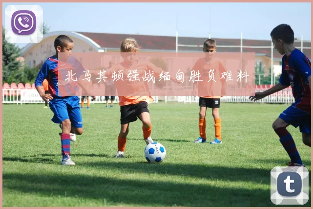 北马其顿强战缅甸胜负难料 - 必赢全站app下载官网