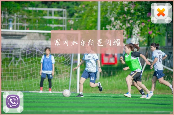 塞内加尔新星闪耀 - 必赢全站app下载官网