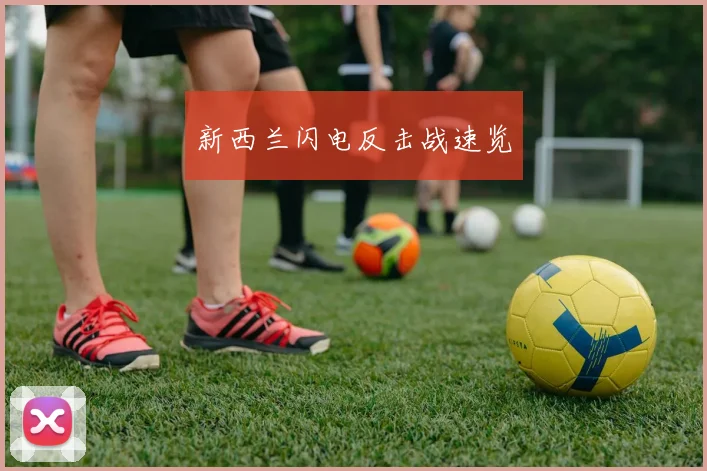 新西兰闪电反击战速览 - 必赢全站app下载官网