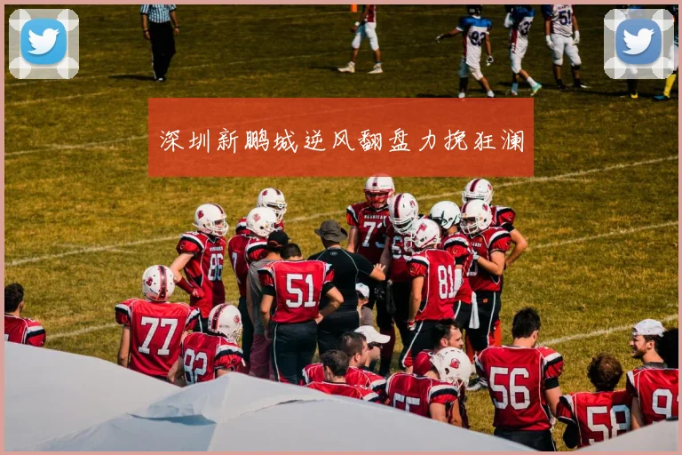 深圳新鹏城逆风翻盘力挽狂澜 - 必赢全站app下载官网