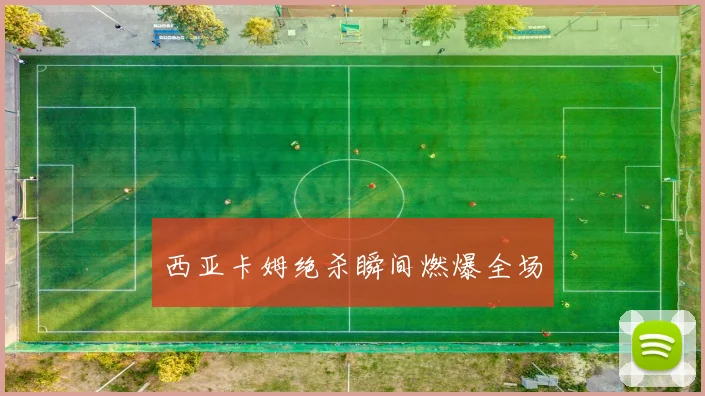 西亚卡姆绝杀瞬间燃爆全场 - 必赢全站app下载官网