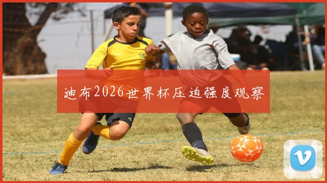 迪布2026世界杯压迫强度观察