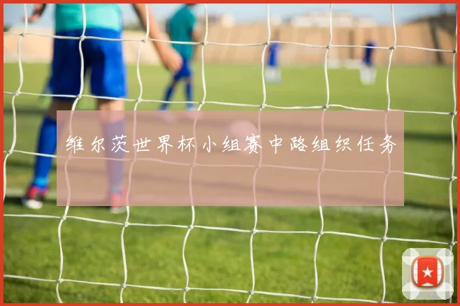 维尔茨世界杯小组赛中路组织任务