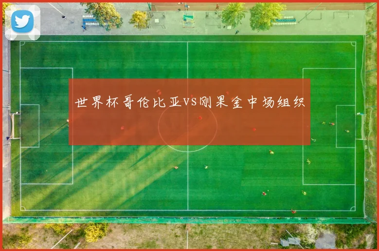 世界杯哥伦比亚vs刚果金中场组织