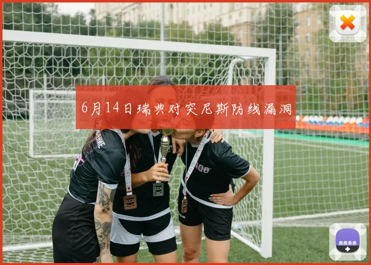 6月14日瑞典对突尼斯防线漏洞
