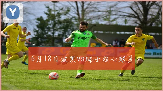 6月18日波黑vs瑞士核心球员