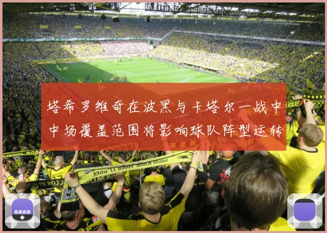塔希罗维奇在波黑与卡塔尔一战中中场覆盖范围将影响球队阵型运转